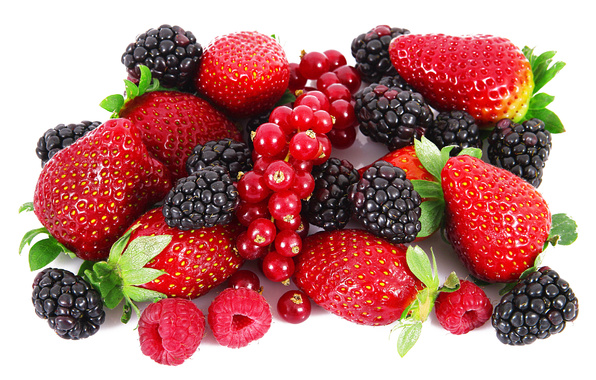 cumpar ferma pomicola